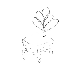 17．コンサートセット