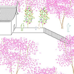 20．鎮守の森の木道